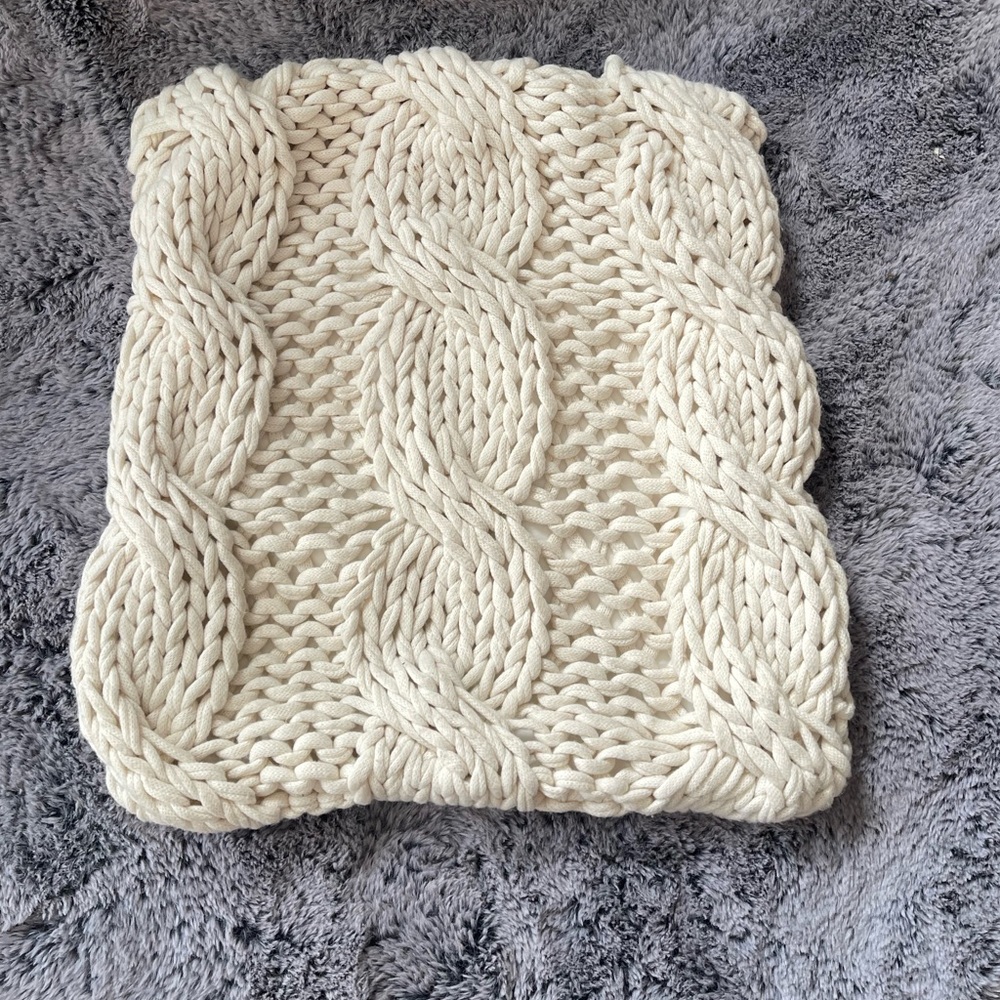Pottery Barn pillow Case cover